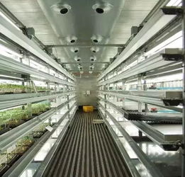 植物工厂是未来农业技术变革的技术之一